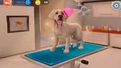 Animal Hospital - Nintendo Switch