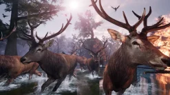 Away: The Survival Series - PS4