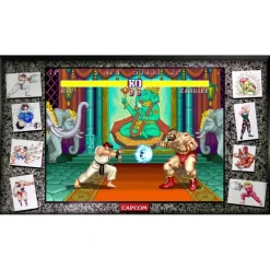 Capcom Fighting Collection [Fighting Legends Pack] - SWITCH [JAPANESE ENGLISH IMPORT]