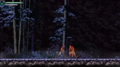 Chronicles of the Wolf - Nintendo Switch (PRE-ORDER)