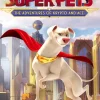 DC LEAGUE OF SUPER PETS: THE ADVENTURES OF KRYPTO AND ACE - SWITCH