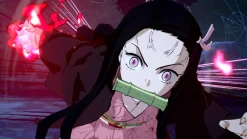 Demon Slayer - Kimetsu no Yaiba- The Hinokami Chronicles - Nintendo Switch