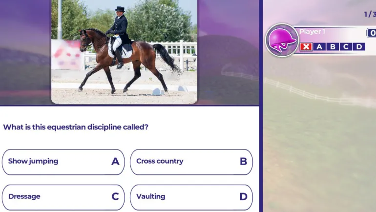 EQUESTRIAN TRAINING - SWITCH