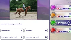 EQUESTRIAN TRAINING - SWITCH