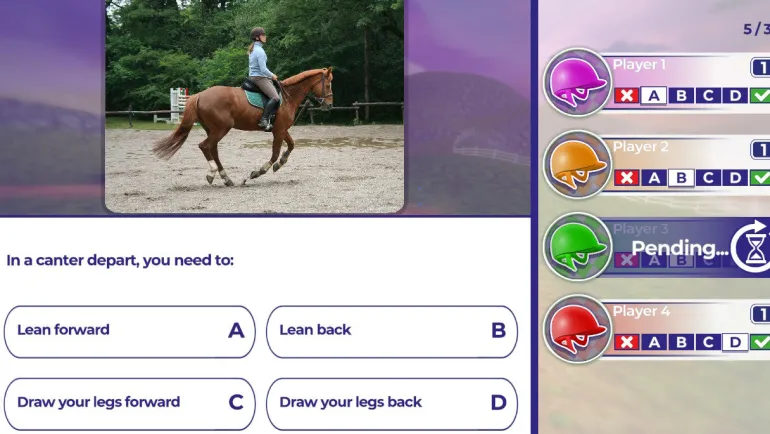 EQUESTRIAN TRAINING - SWITCH
