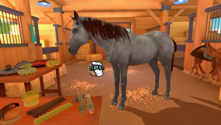 EQUESTRIAN TRAINING - SWITCH