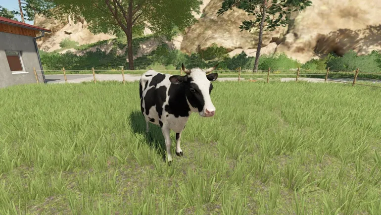 FARMING SIMULATOR 23 - SWITCH