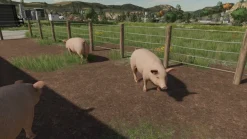 FARMING SIMULATOR 23 - SWITCH