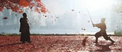 Ghost of Tsushima Director’s Cut - PS4