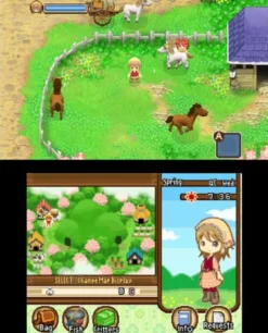 Harvest Moon: Tale of Two Towns - 3DS