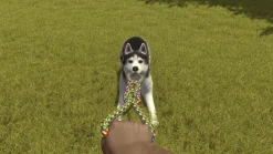 HOUSE FLIPPER PETS EDITION - PS4