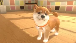 Little Friends Dogs & Cats - SWITCH