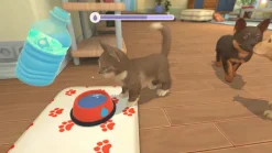 My Universe: Puppies and Kittens - PlayStation 4