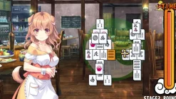 Pretty Girls Game Collection 2 - PlayStation 4 [PEGI Import]