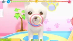 Pups & Purrs Animal Hospital - SWITCH