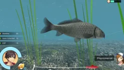 Reel Fishing: Days of Summer - Playstation 5