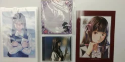 Root Letter Premium Pen Pal Edition (No Game Included)