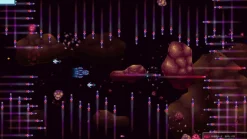 Stellar Interface [Elite Edition] - SWITCH [VGNY SOFT]