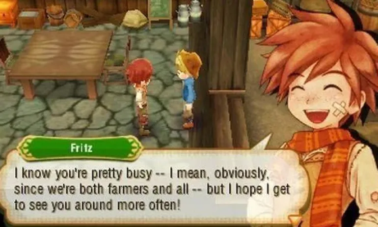 STORY OF SEASONS - 3DS