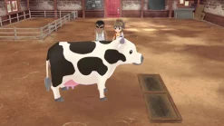 STORY OF SEASONS A WONDERFUL LIFE - XBOX SERIES X