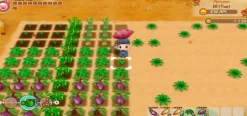STORY OF SEASONS FRIENDS OF MINERAL TOWN - XBOX ONE