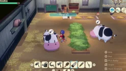 STORY OF SEASONS: Grand Bazaar [Standard Edition] - Nintendo Switch (PRE-ORDER) (FREE SHIPPING)