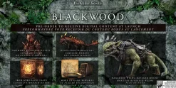 The Elder Scrolls Online: Blackwood - XBOX ONE / SERIES X