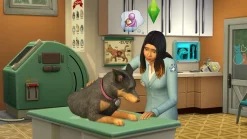 The Sims 4 Plus Cats And Dogs Bundle - Xbox One