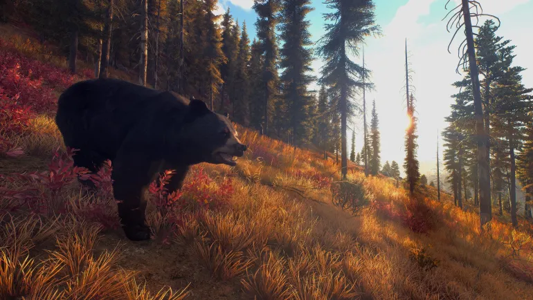Way of the Hunter Hunting Season - PlayStation 5