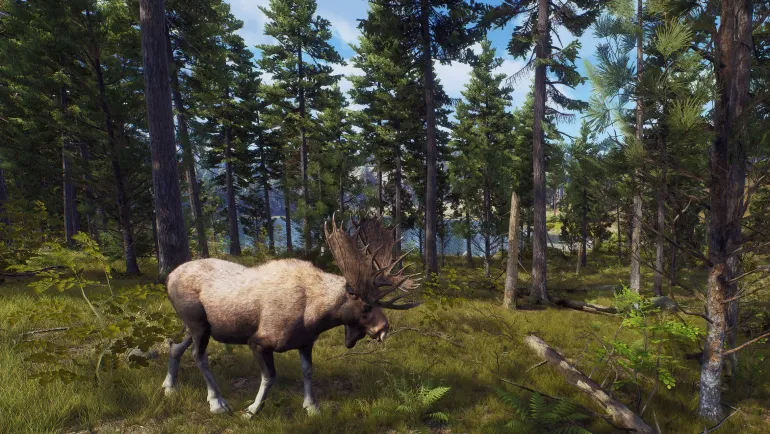 Way of the Hunter Hunting Season - XBOX SERIES X