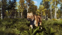 Way of the Hunter: Wild Expeditions - Playstation 5