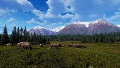 Way of the Hunter: Wild Expeditions - Xbox Series X