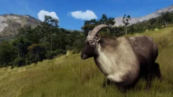 Way of the Hunter: Wild Expeditions - Xbox Series X