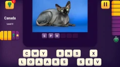 WORLD QUIZ - PS4